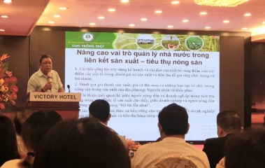 Lãnh đạo Cục Trồng trọt nói về việc thúc đẩy liên kết chuỗi giá trị nông sản